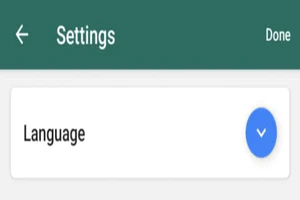 Alt text